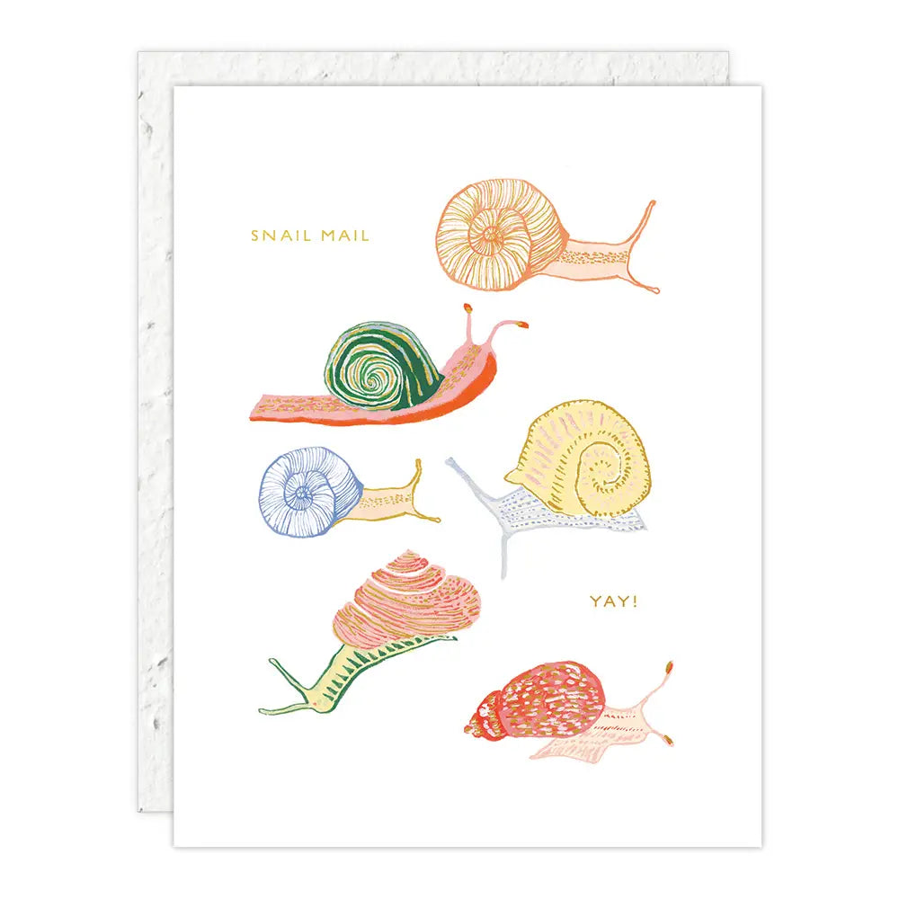 SNAILS – JUST BECAUSE CARD
