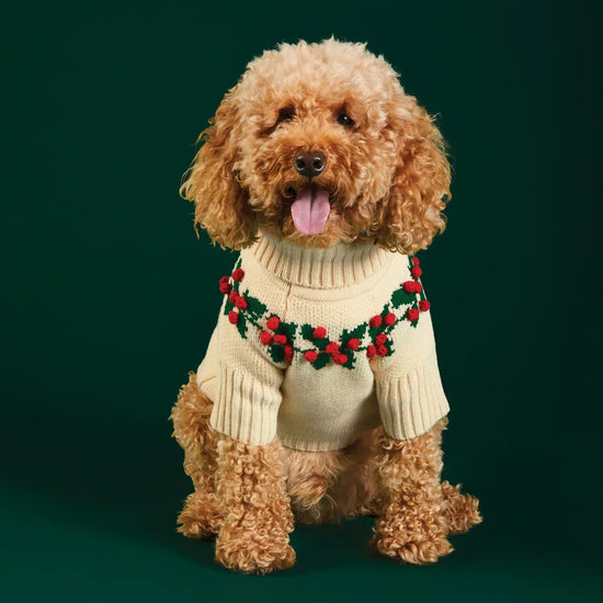 Holly Bobble Holiday Dog Sweater