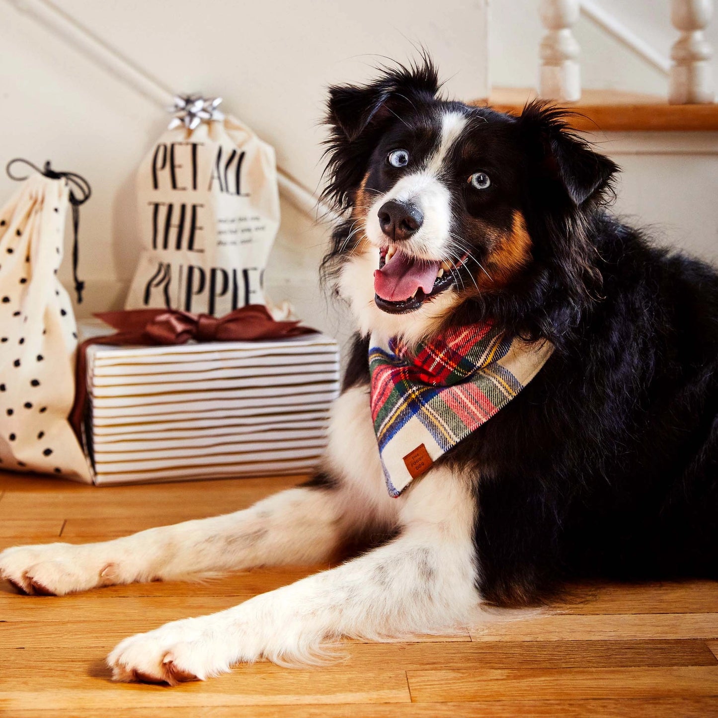 REGENT PLAID HOLIDAY DOG BANDANA