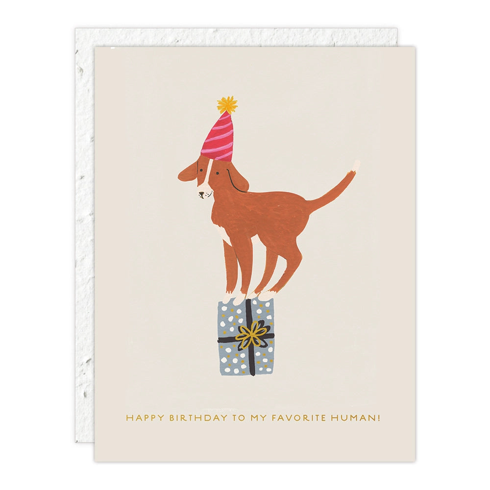 BIRTHDAY DOG – BIRTHDAY CARD